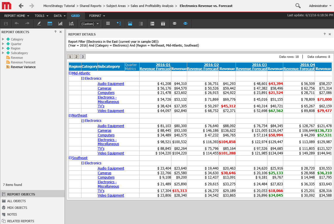 Report Execution Page