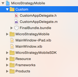 Custom AppDelegate Sample in iOS