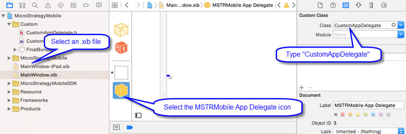 Custom AppDelegate Sample in iOS
